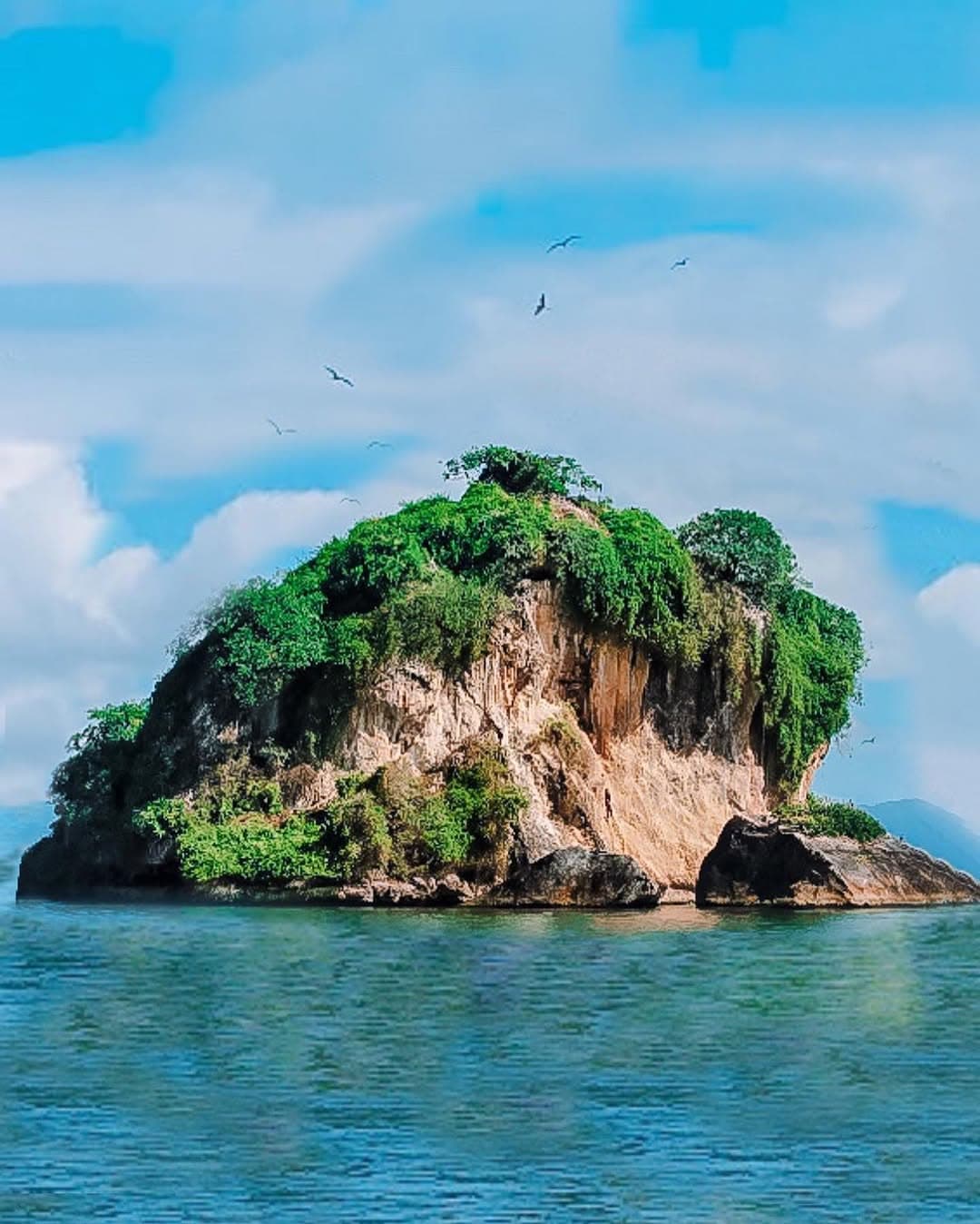 Samaná: Los Haitises National Park & Cayo Levantado Island Tour – From $49 USD (No Lunch)