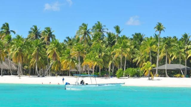 Punta Cana: Saona Island Day Trip
