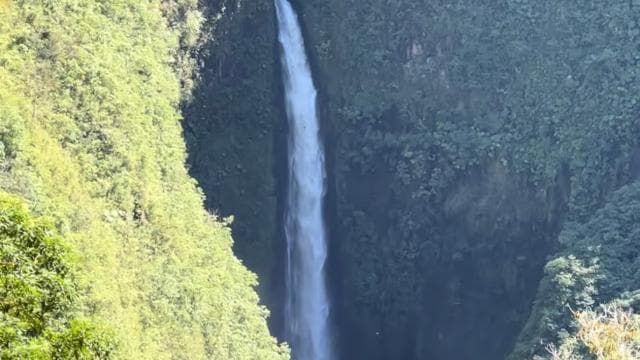 La Paz Waterfall and Cinchona Tour