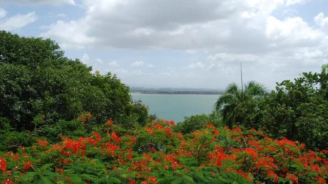 San Juan: History Walking Tour with a Guide