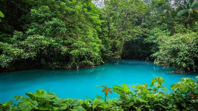 Rio Celeste Waterfall in Tenorio Volcano National Park