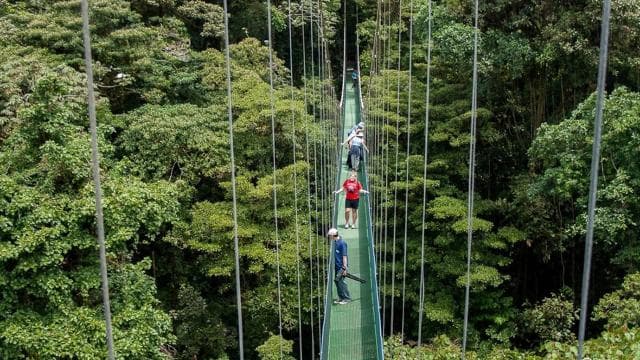 Monteverde: 3-in-1 Sky Tram, Sky Trek and Sky Walk