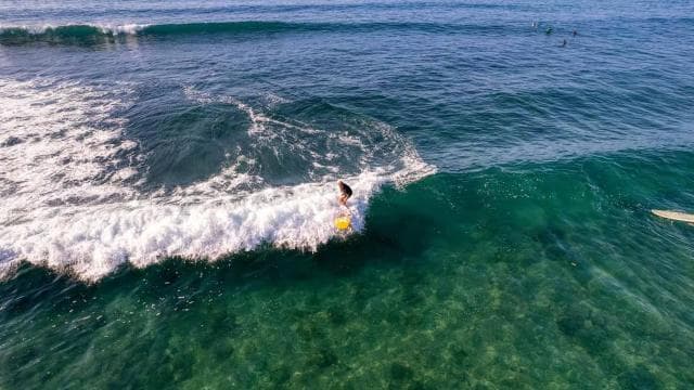 Jaco Beach: Learn to Surf in Costa Rica - Surf for Families