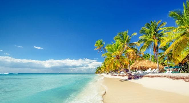 Bayahibe: Full-Day Saona Island Excursion