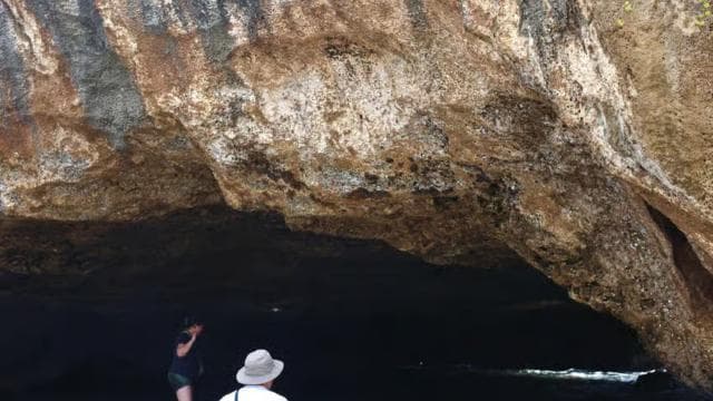 Puerto Rico: Cave & Beach Hopping Tour