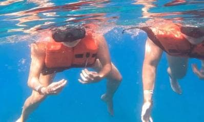Private: Catalina Island Diving Tour with Lunch (Copy)