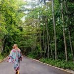 Jarabacoa: ATV Ride & Baiguate Waterfall