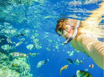 Puerto Plata: Snorkeling Excursion to Sosúa Bay