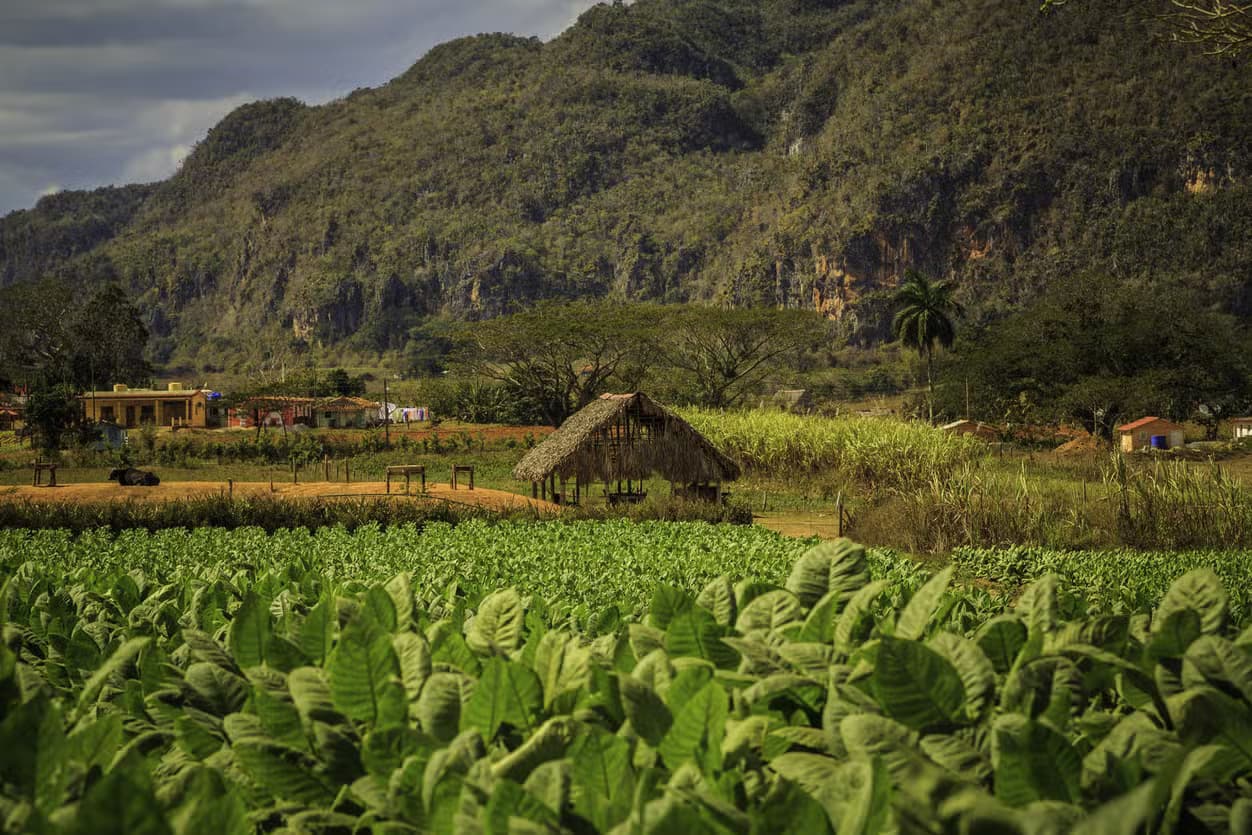 Valle de Viñales 2-Day Excursion