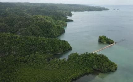 Las Terrenas: Los Haitises Boat and Walking Tour with Lunch