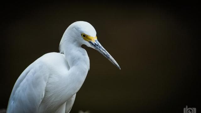 Guanacaste: Palo Verde Boat Tours