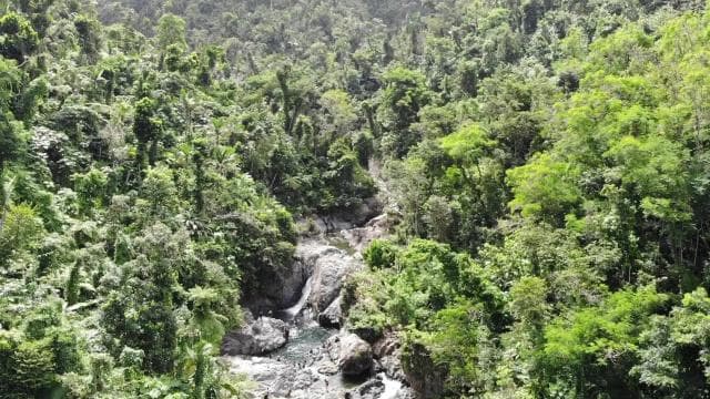 From San Juan: Rainforest Walk, Nature Swim & Luquillo Beach