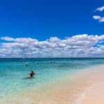 Catalina Island Tour: Boat, Beach Stay, Lunch & Free Drinks