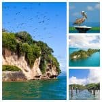 Los Haitises National Park Tour from Samaná Port