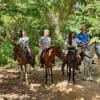 Dominican Republic: El Limón Waterfall Horseback Riding Tour