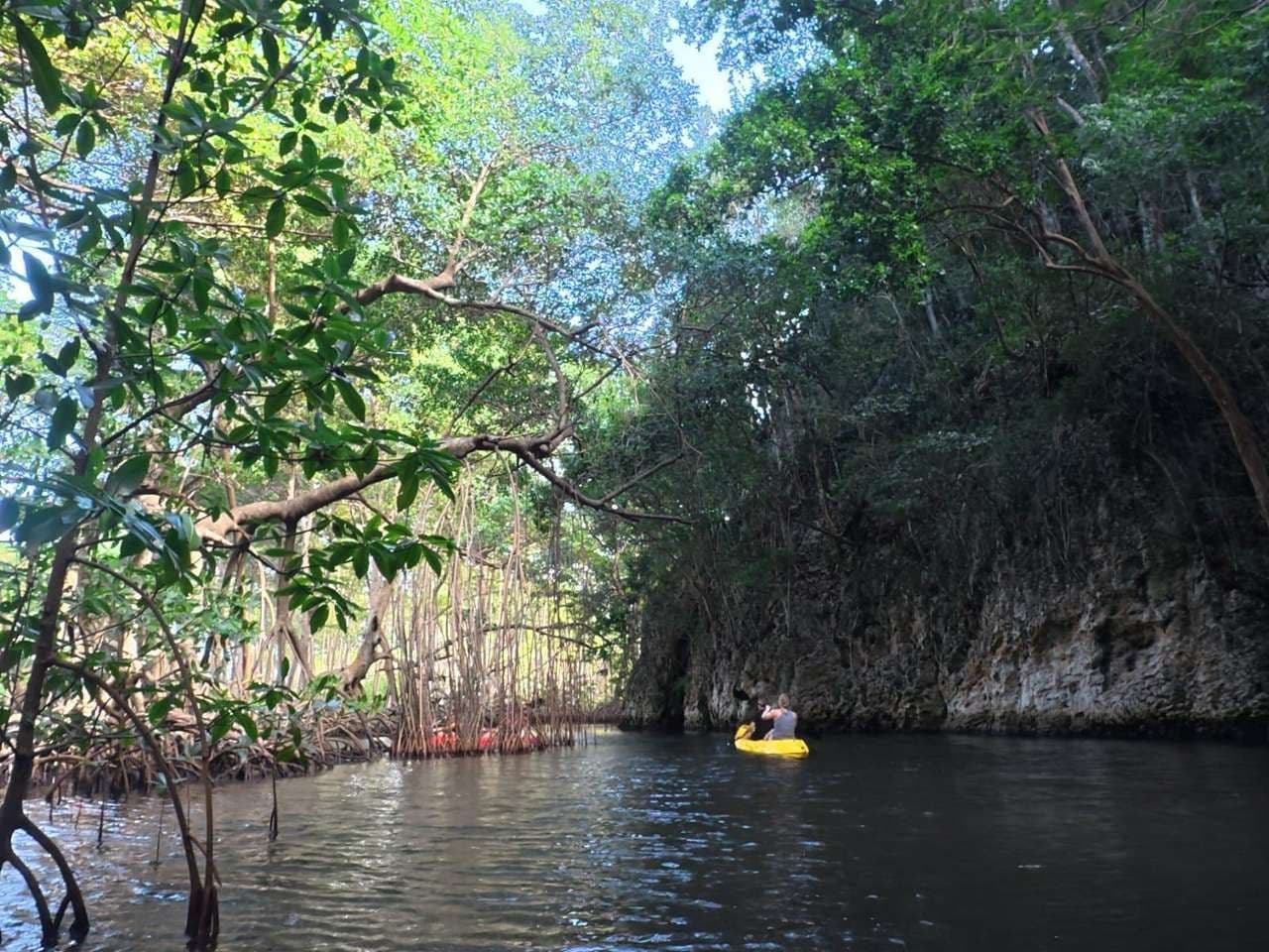 Samana: Los Haitises combining ATV riding, kayaking through mangroves