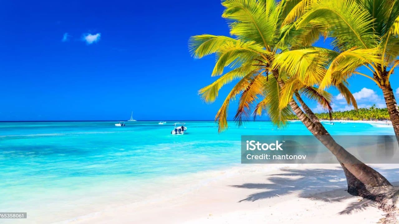 Samaná Cayo Levantado y Cascada El Limón From Punta Cana