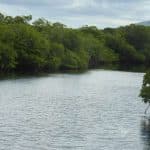 Puerto Plata: Day Trip to Cayo Arena Island by Speedboat