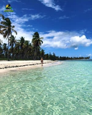 Miches: Saona Island Tour From Miches