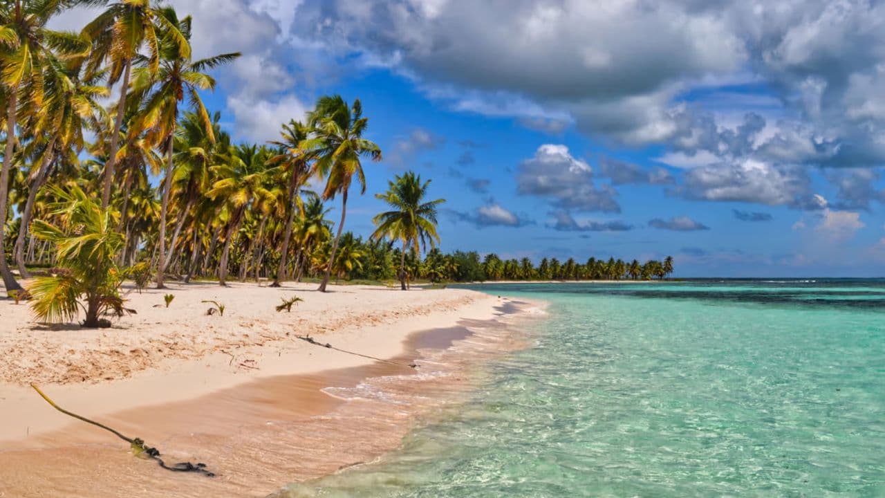 Saona Island Full Day Catamarán Food and Drink included