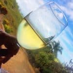 Hotel Caño Hondo Room + Breakfast + Kayaking Los Haitises 2 Hours