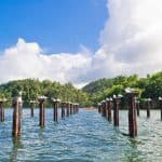 Los Haitises National Park + Lunch at Caño Hondo from Sabana de la Mar