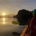 Caño Hondo : Los Haitises Sunrise or Sunset Private Kayak Excursion with Locals