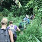 Hike + Kayak Los Haitises National Park from Boca Chica