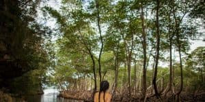 Excursion and Walking Tour with Lunch