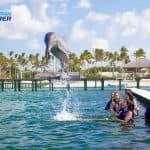 Punta Cana Dolphin Swim Adventure: 40-min Dolphin Experience