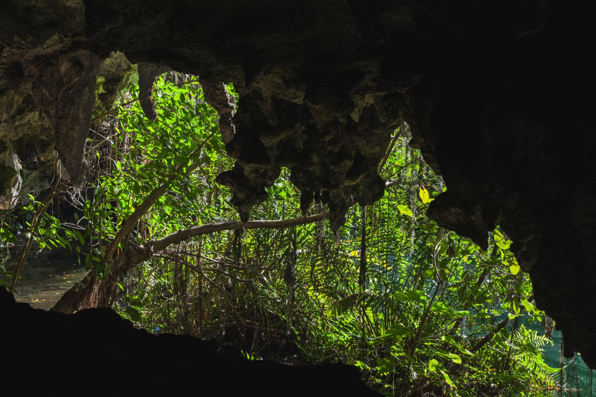 Los Tres Ojos Entrance Tour with Local Guide – Santo Domingo