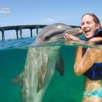 Punta Cana Dolphin Swim Adventure: 40-min Dolphin Experience