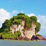 Los Haitises Tour from Las Terrenas & Bacardi Island (Cayo Levantado)