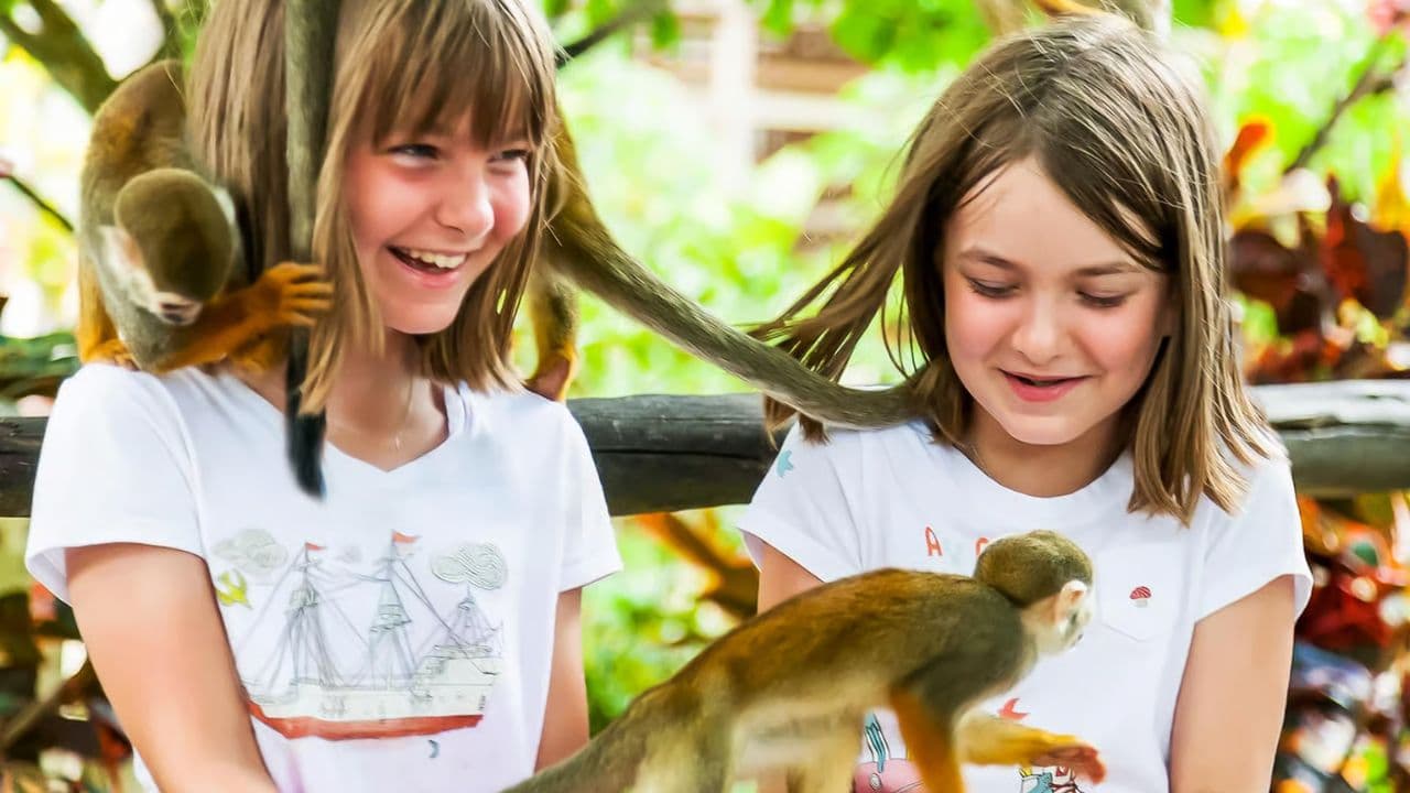 Punta Cana: Monkeyland and Plantation Tour
