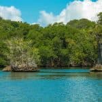 Los Haitises Boat Private trip – From La Romana