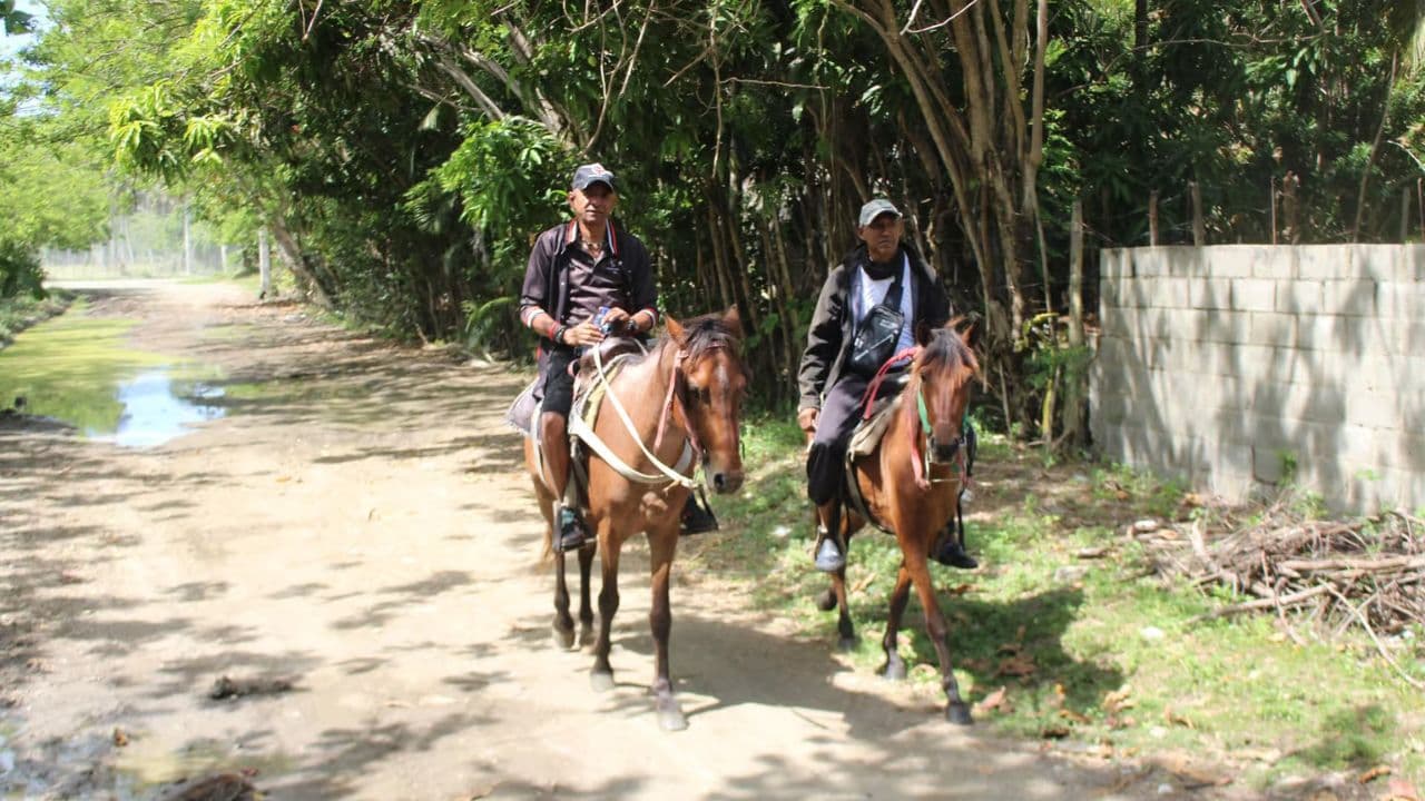 Beach horse back riding and countryside