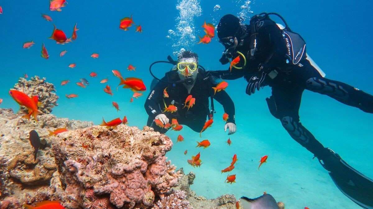 Bayahibe: PADI Open Water Course