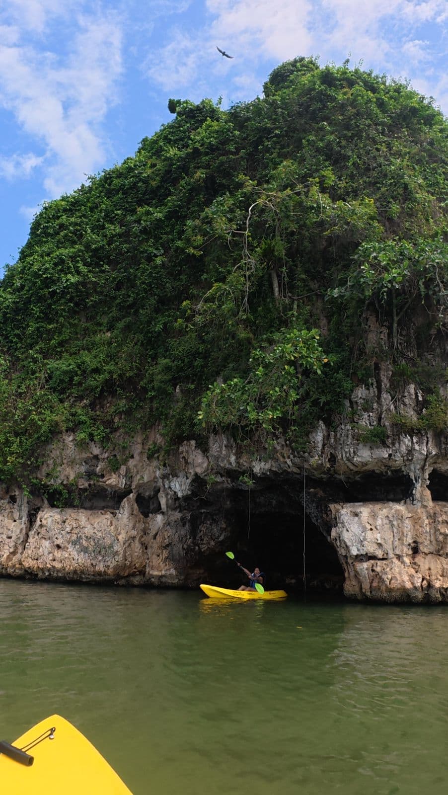 ATV, Kayaks & Caño Hondo Pools Tour from Samaná | Ferry Adventure