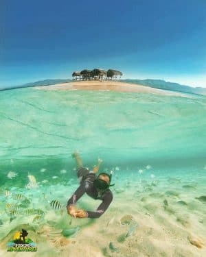 Paradise Island & The Mangroves, Snorkeling (Cayo Arena) Day Pass. Half Day Trip.