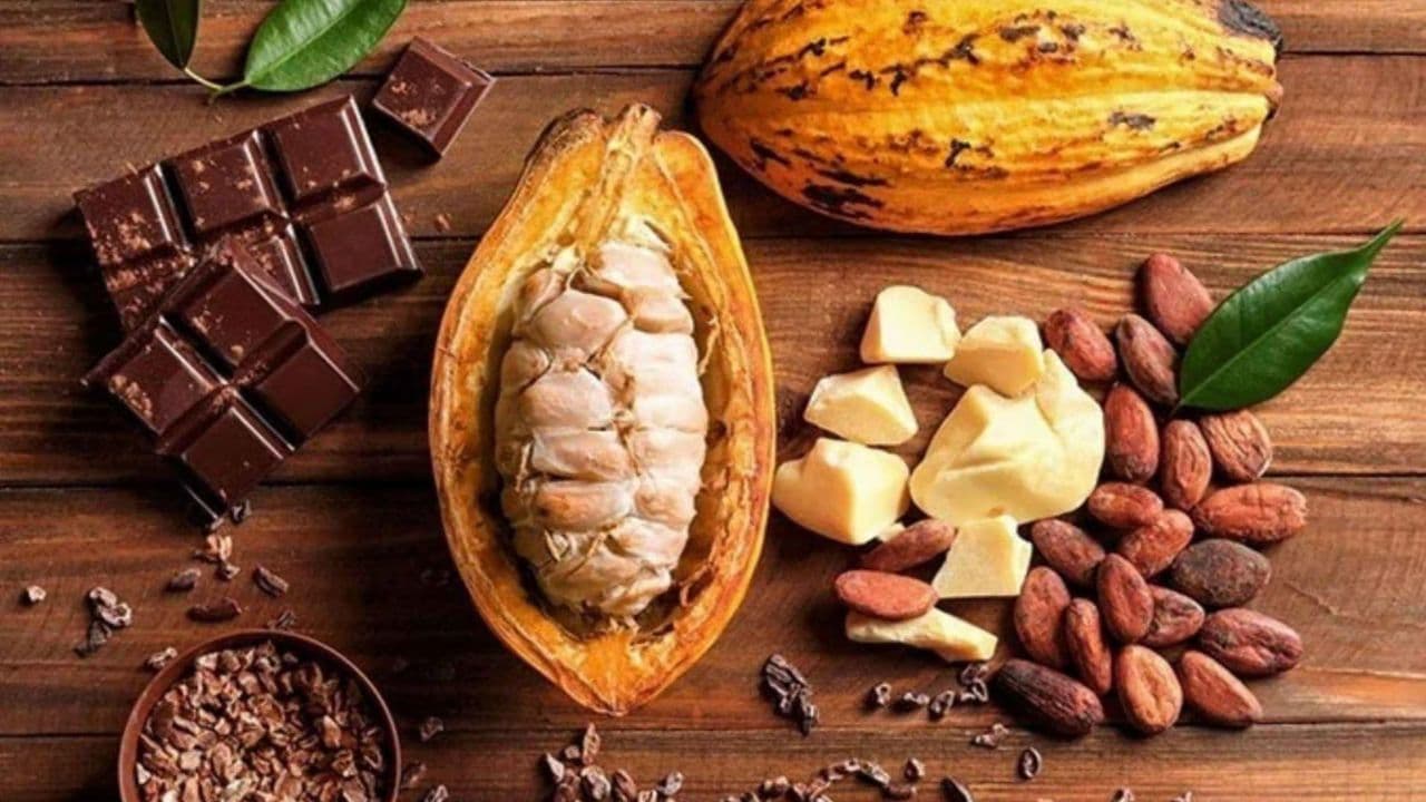 Punta Cana: Higuey, Coffee and Cocoa Tasting Tour with Lunch