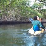 Caño Hondo : Los Haitises Sunrise or Sunset Private Kayak Excursion with Locals