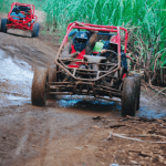 Bayahibe: Buggy tour amazing half-day