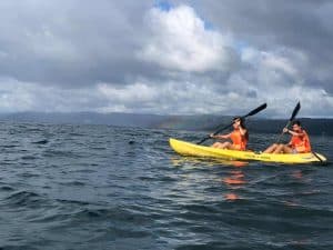 Hotel Caño Hondo Room + Breakfast + Kayaking Los Haitises 2 Hours