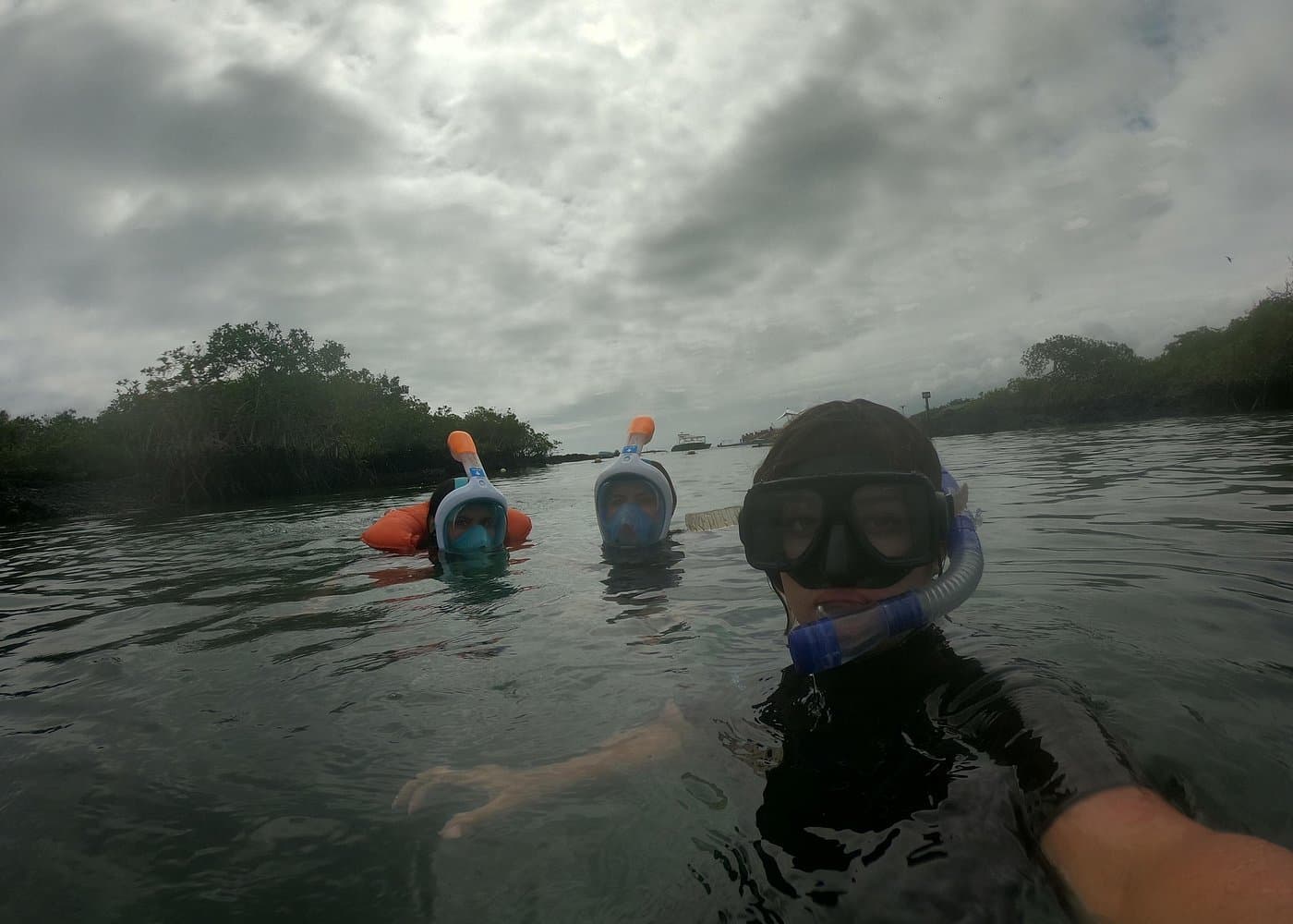Isla Pinzón - Day Tour - From Santa Cruz - Islas Galápagos