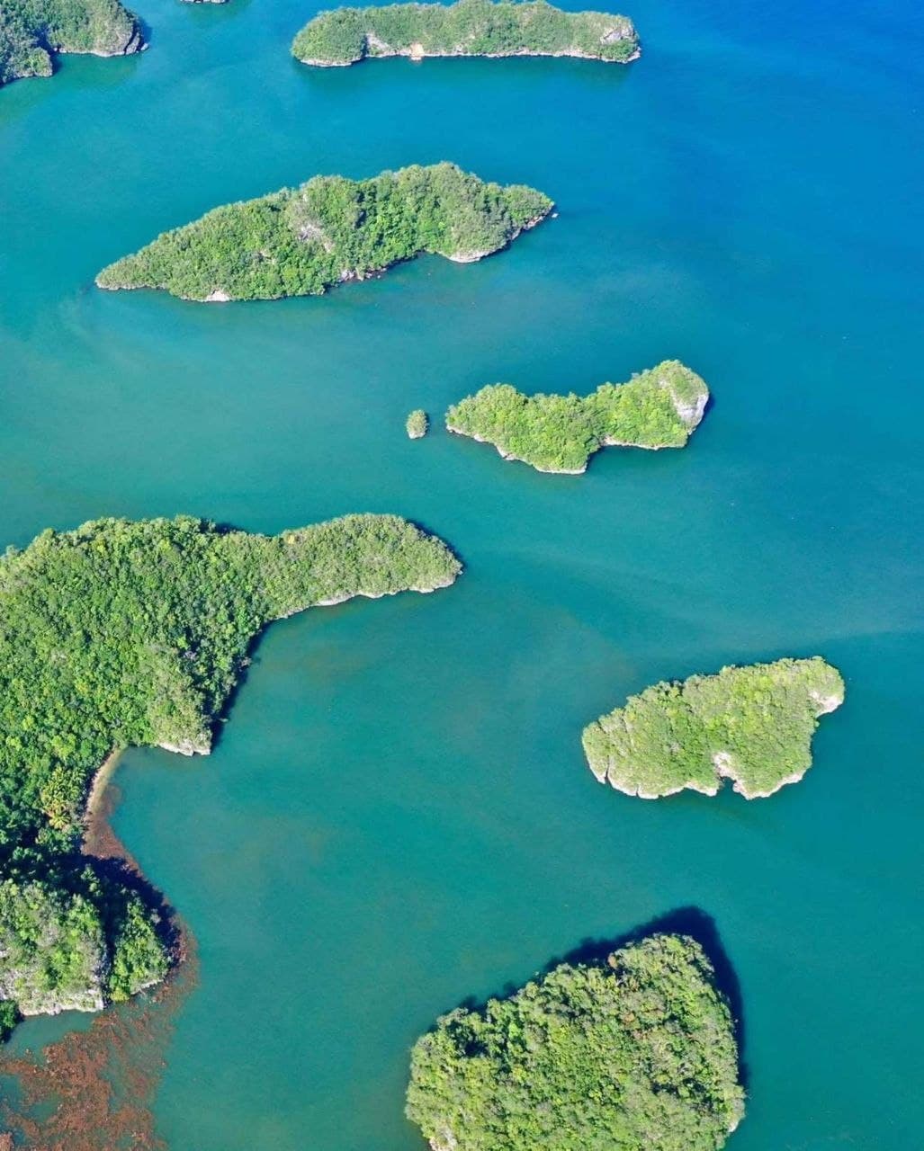 Samana: Walking City Tour