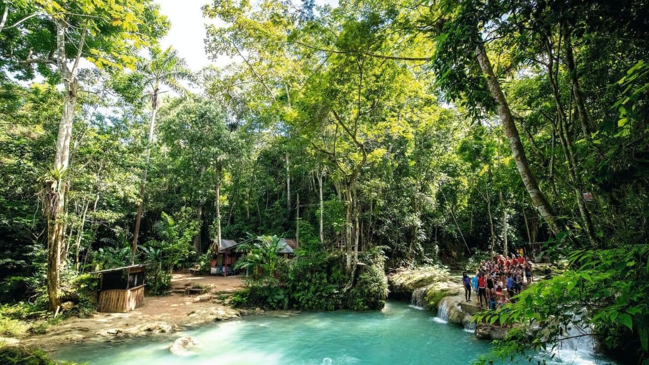Jamaica: Full Day Dunn's River and Blue Hole with Lunch