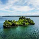 Los Haitises National Park + Lunch at Caño Hondo from Sabana de la Mar