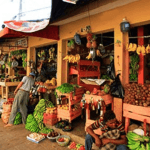 Explore Higüey: Half-Day Cultural Tour from Punta Cana