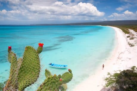 Bahía de las Águilas: Beach Day Trip by Boat – Day Pass – Snorkeling & Lunch