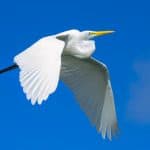 Hike + Kayak Los Haitises National Park from Boca Chica